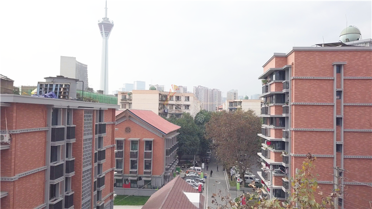 李家沱片區提升工程 (5).png